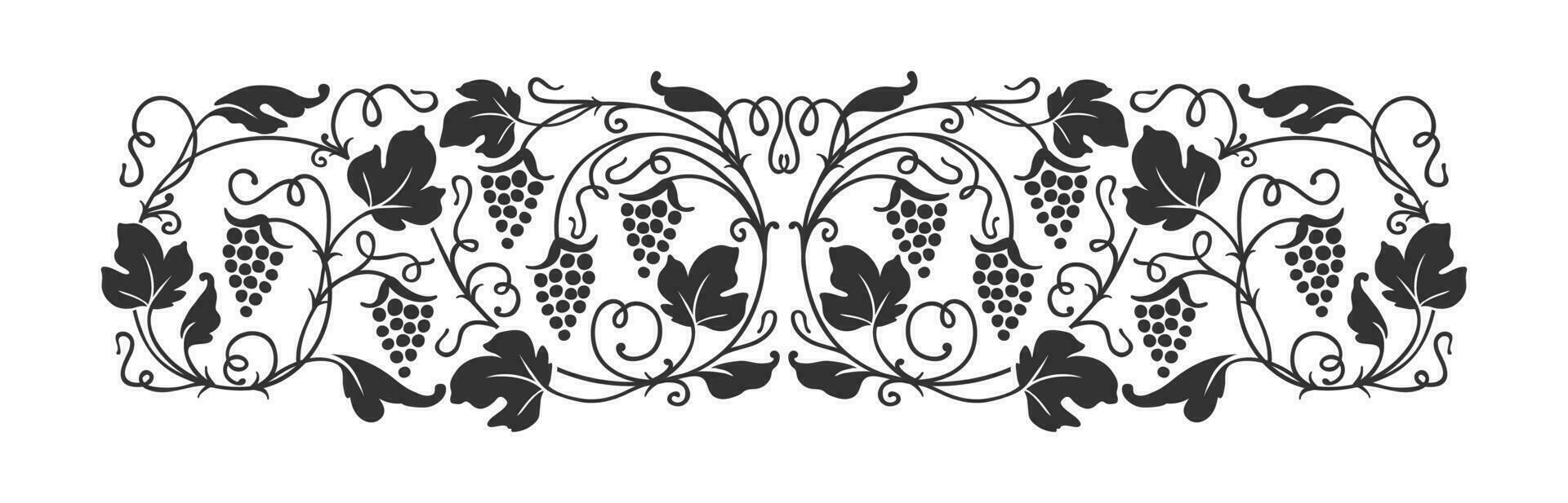 Grape vine ornament, wine border, vineyard branch vector