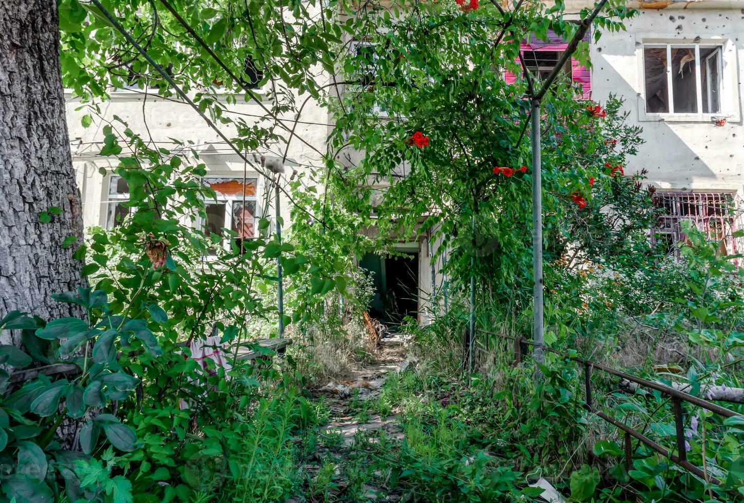 destruido casas en un abandonado ciudad sin personas en Ucrania foto