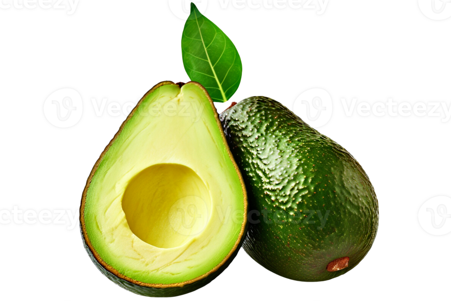 fruit avocado  isolated  With clipping path. png