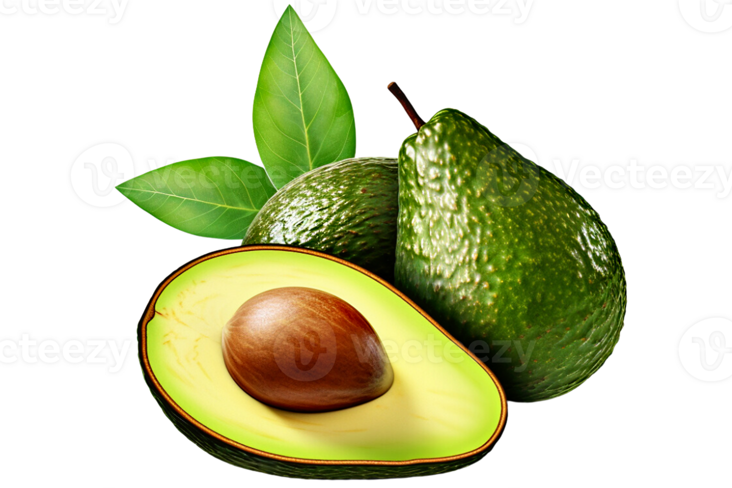 fruit avocado  isolated , With clipping path. png