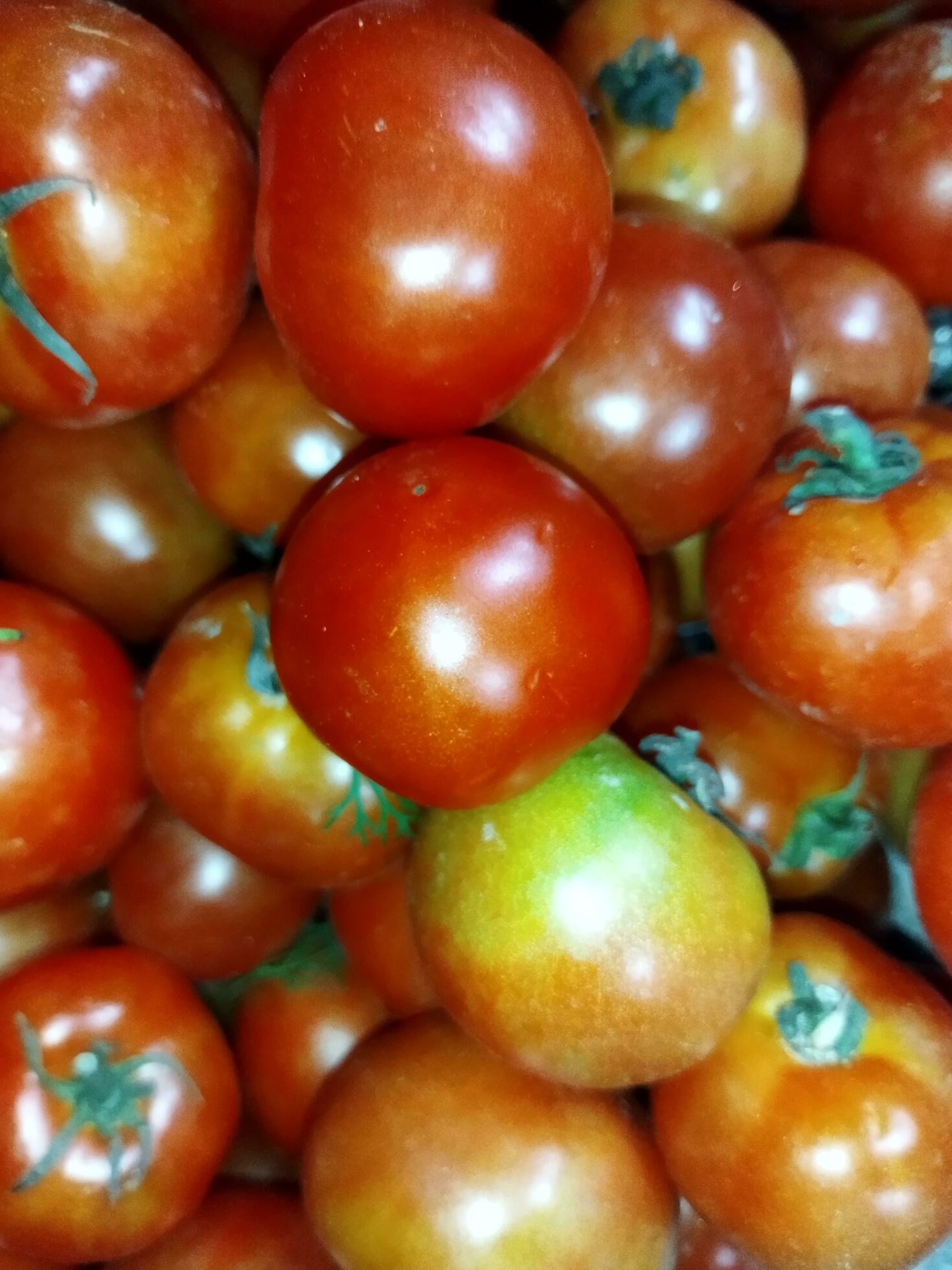 Benefits of Tomatoes 1Helps in weight loss 2Good for eyes 3Improves