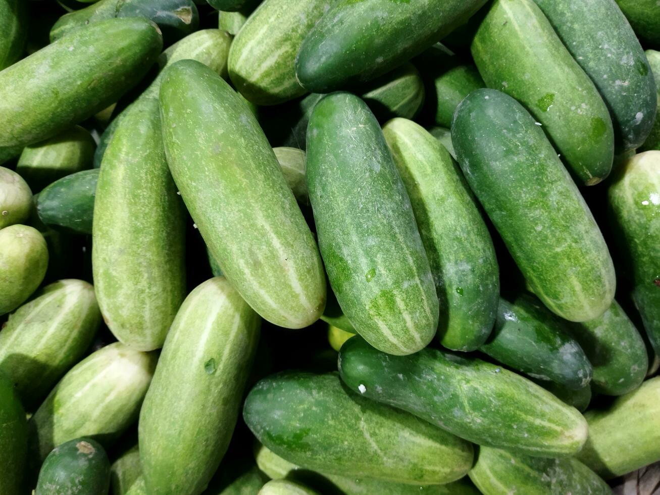 Benefits of Cucumber 1 Cholesterol Control 2 Kidney Stone Healing 3 Water Vacuity 4 Digestive Problems 5 Hormone Balance 6 Stress Reduction photo