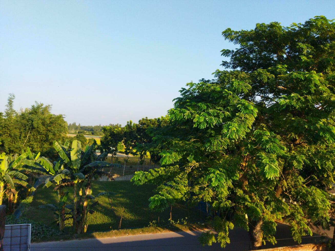 disfrutar el fascinante paisaje en el balsámico tardes desde el techo, foto