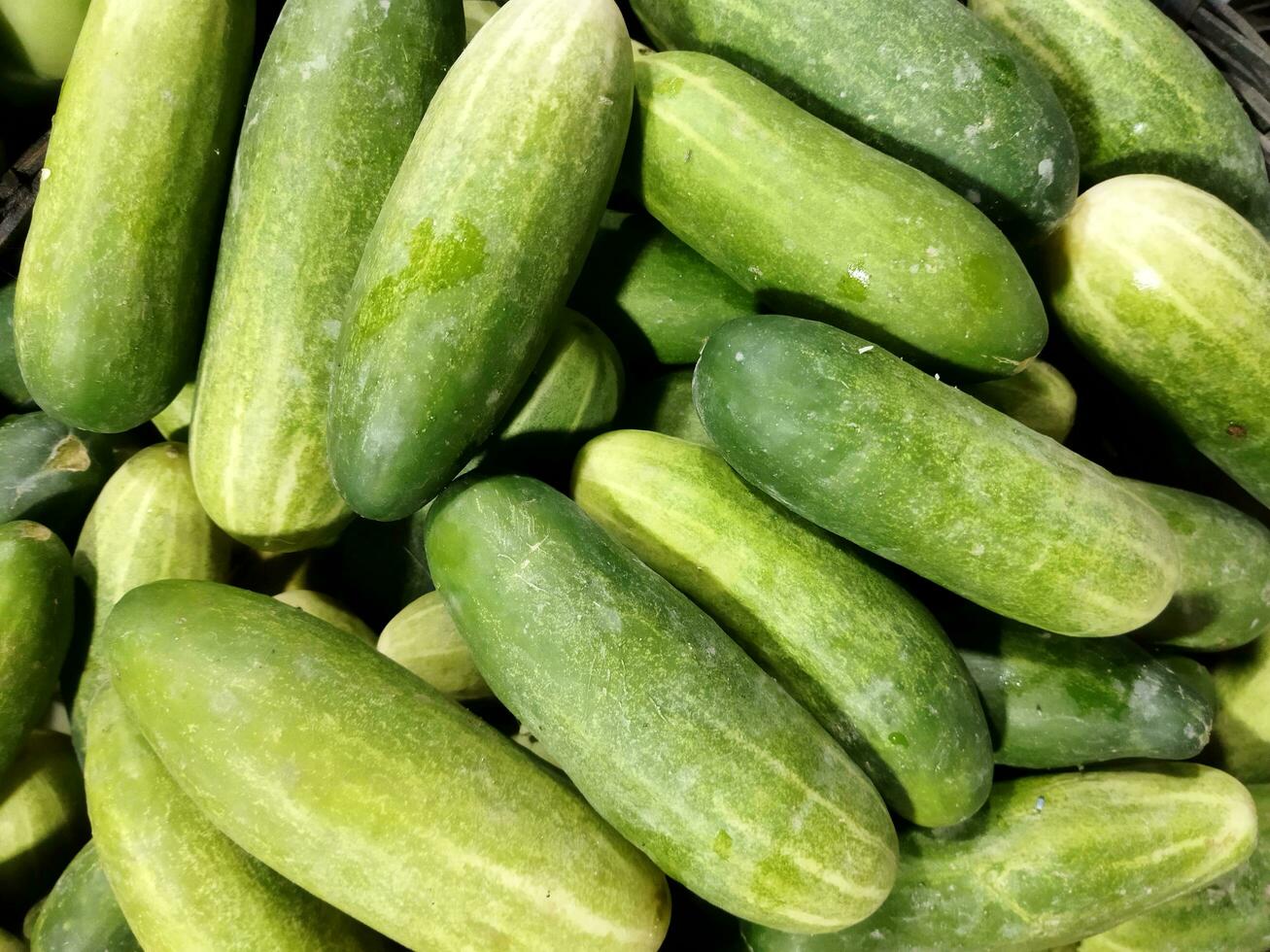 Benefits of Cucumber 1 Cholesterol Control 2 Kidney Stone Healing 3 Water Vacuity 4 Digestive Problems 5 Hormone Balance 6 Stress Reduction photo