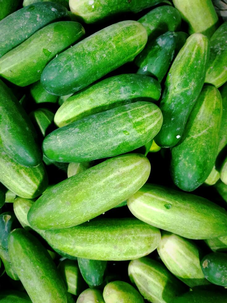 Benefits of Cucumber 1 Cholesterol Control 2 Kidney Stone Healing 3 Water Vacuity 4 Digestive Problems 5 Hormone Balance 6 Stress Reduction photo