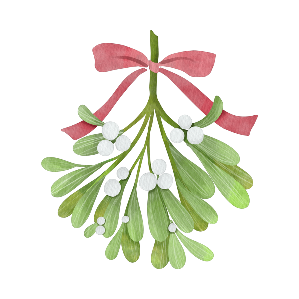 AI generated Mistletoe Sprigs With Red Bow For Christmas png