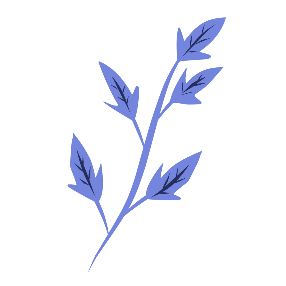 Botanical plant leaves png