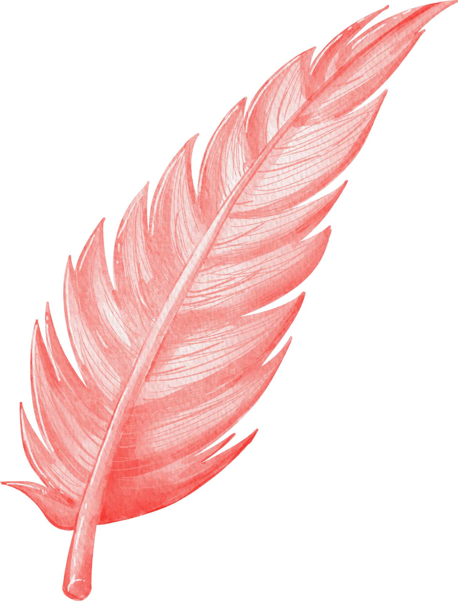 a red feather on a transparent background 36155400 PNG