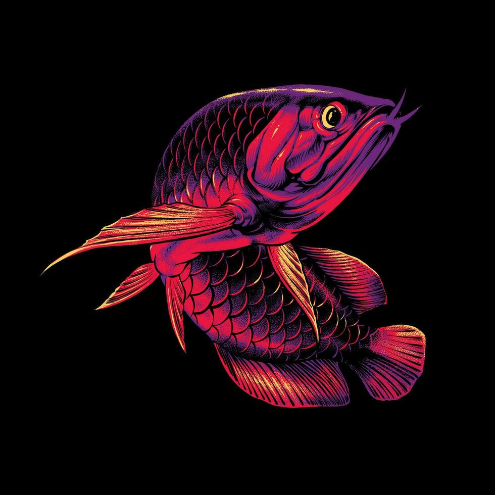 the asian red arowana illustration premium vector