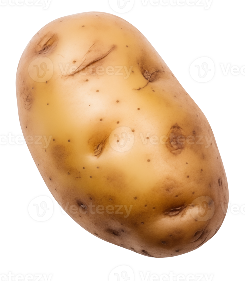 AI generated Potato, on a transparent background, digital photography png