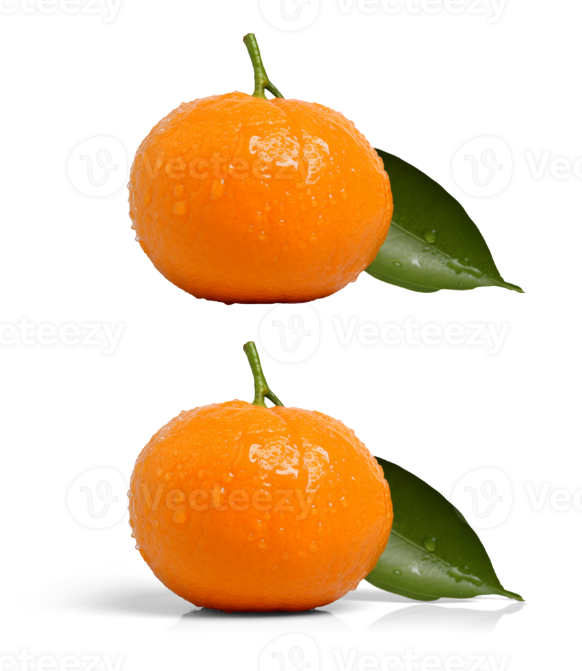 ai généré mandarin, Orange sur une transparent arrière-plan, numérique la photographie png