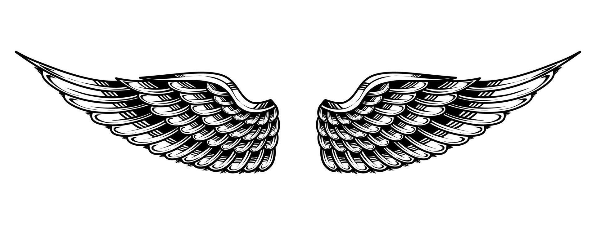 vector vintage angel wing tattoo illustration