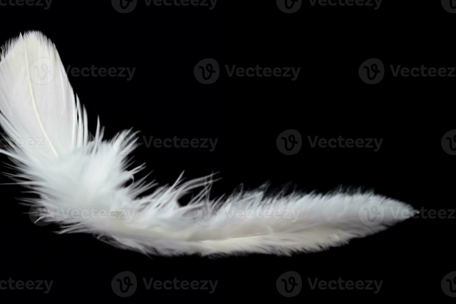 Single white feather isolated on black background photo