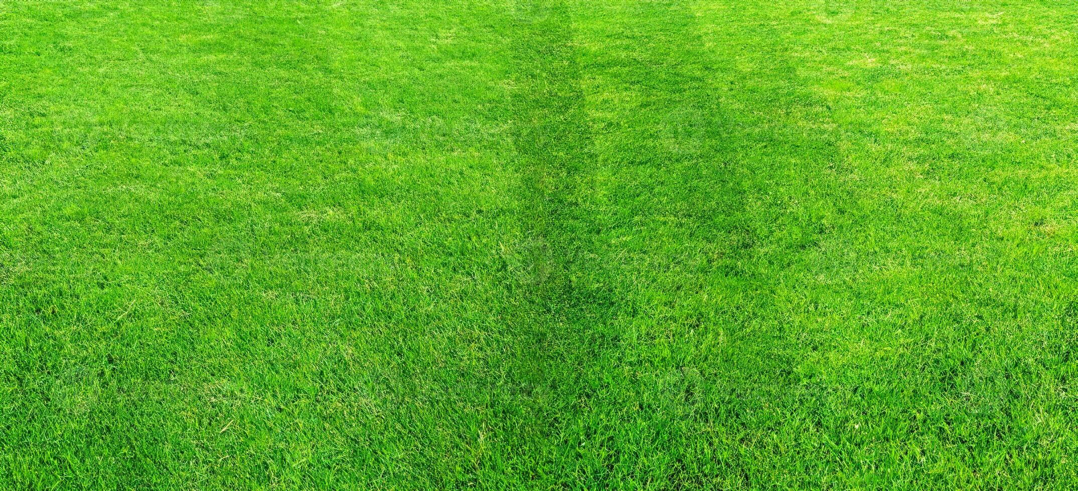 Green grass field pattern background for soccer and football sports. Green lawn pattern and texture for background. photo