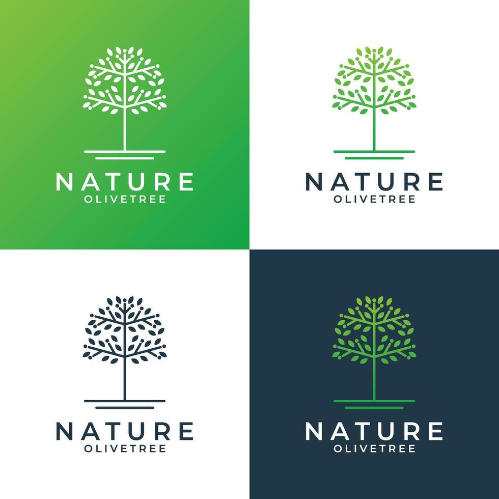 aceituna árbol logo diseño modelo para tu negocio spa, complejo, salud etc vector