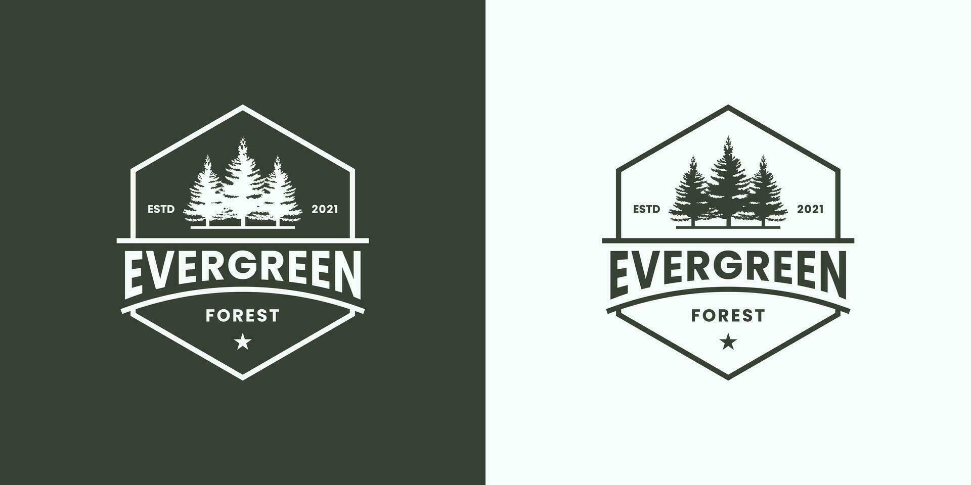 vintage badge evergreen with hexagon frame logo design retro vector