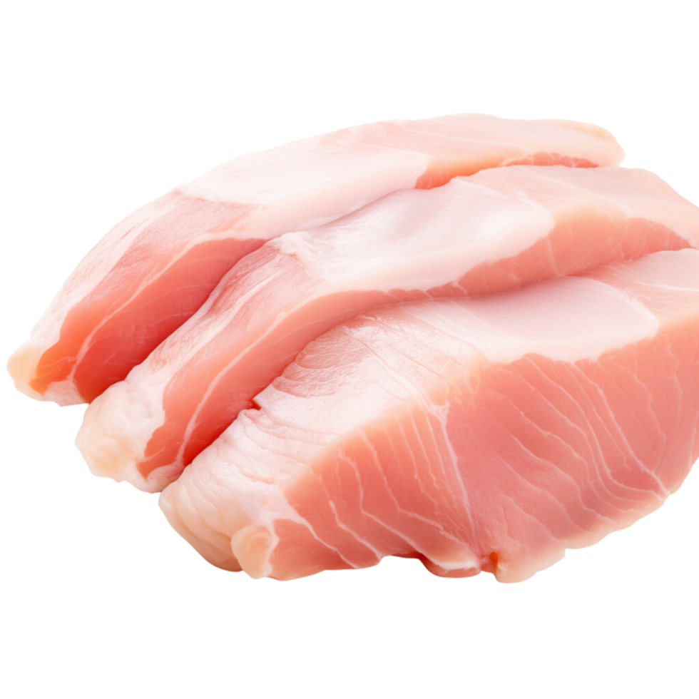 Slice of fresh turkey meat fillet on a transparent background. png