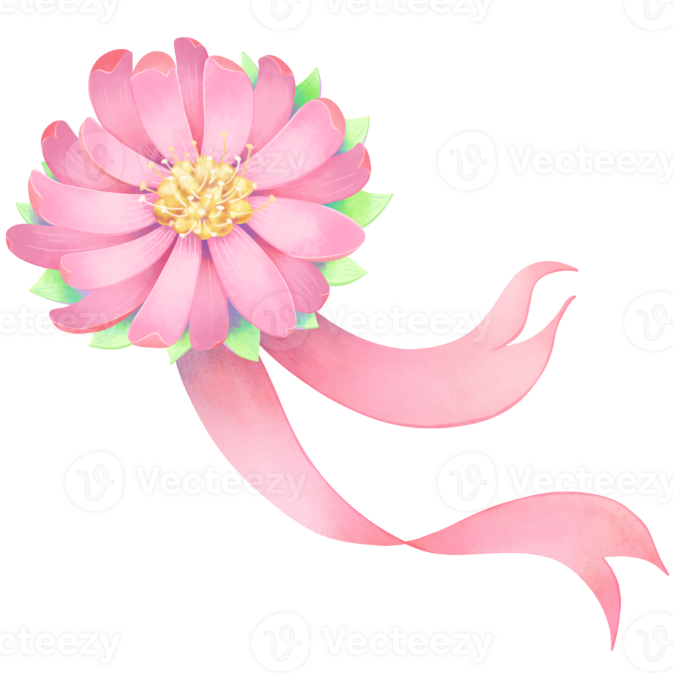 Colorful bows and ribbons png
