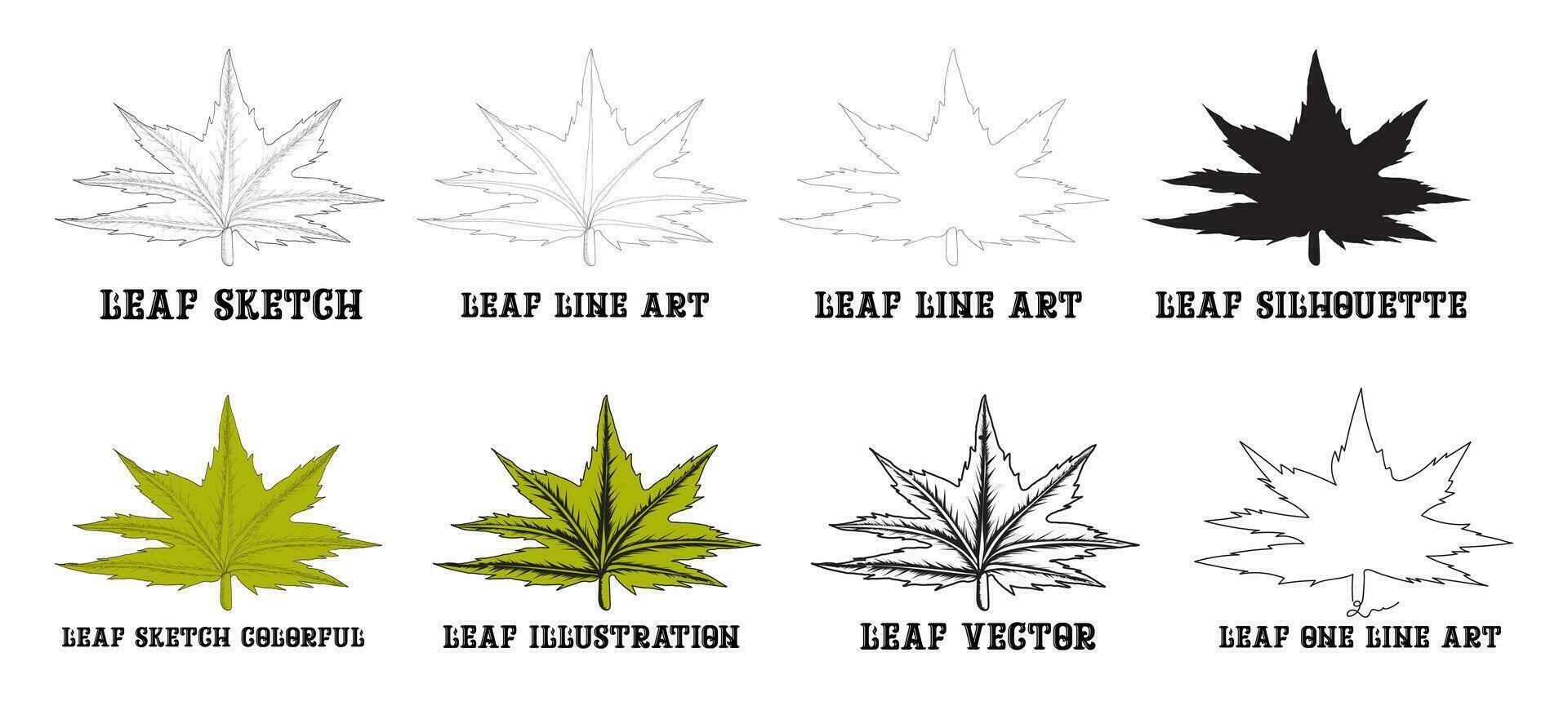 arce hoja todas tipo de vector variación diseño