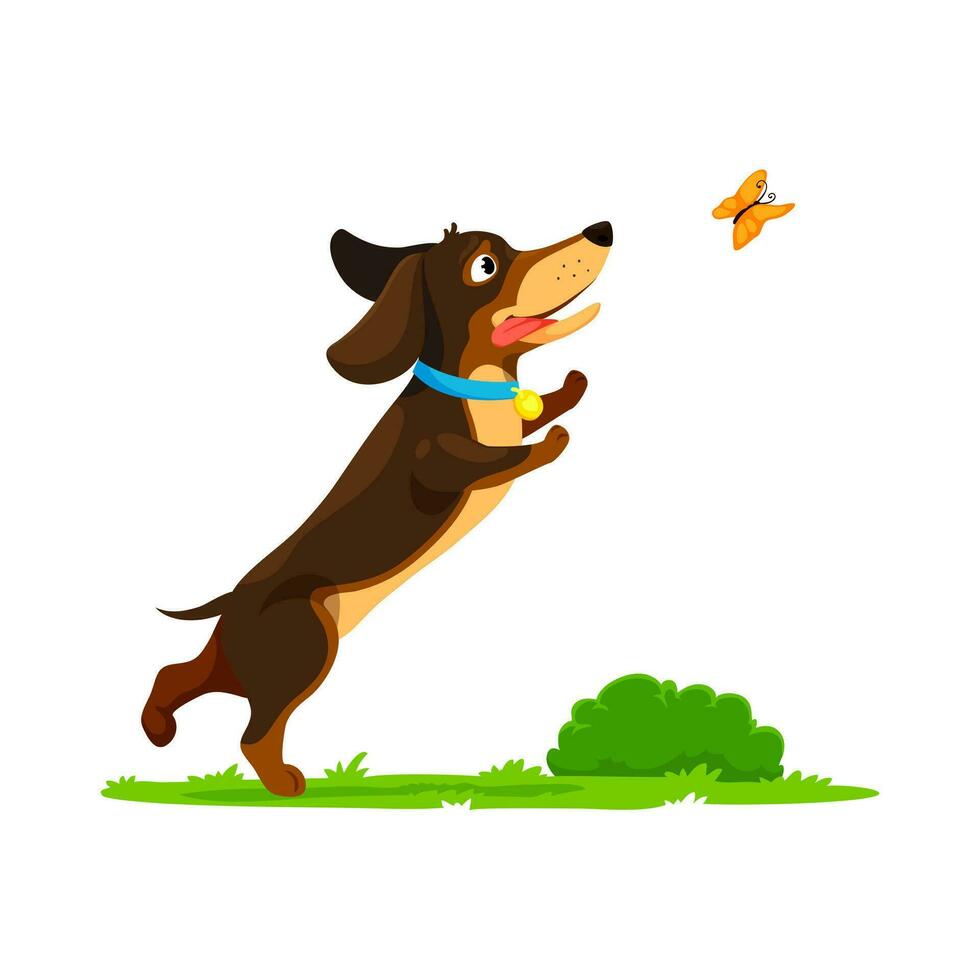 Cartoon dachshund dog puppy catching butterflies vector