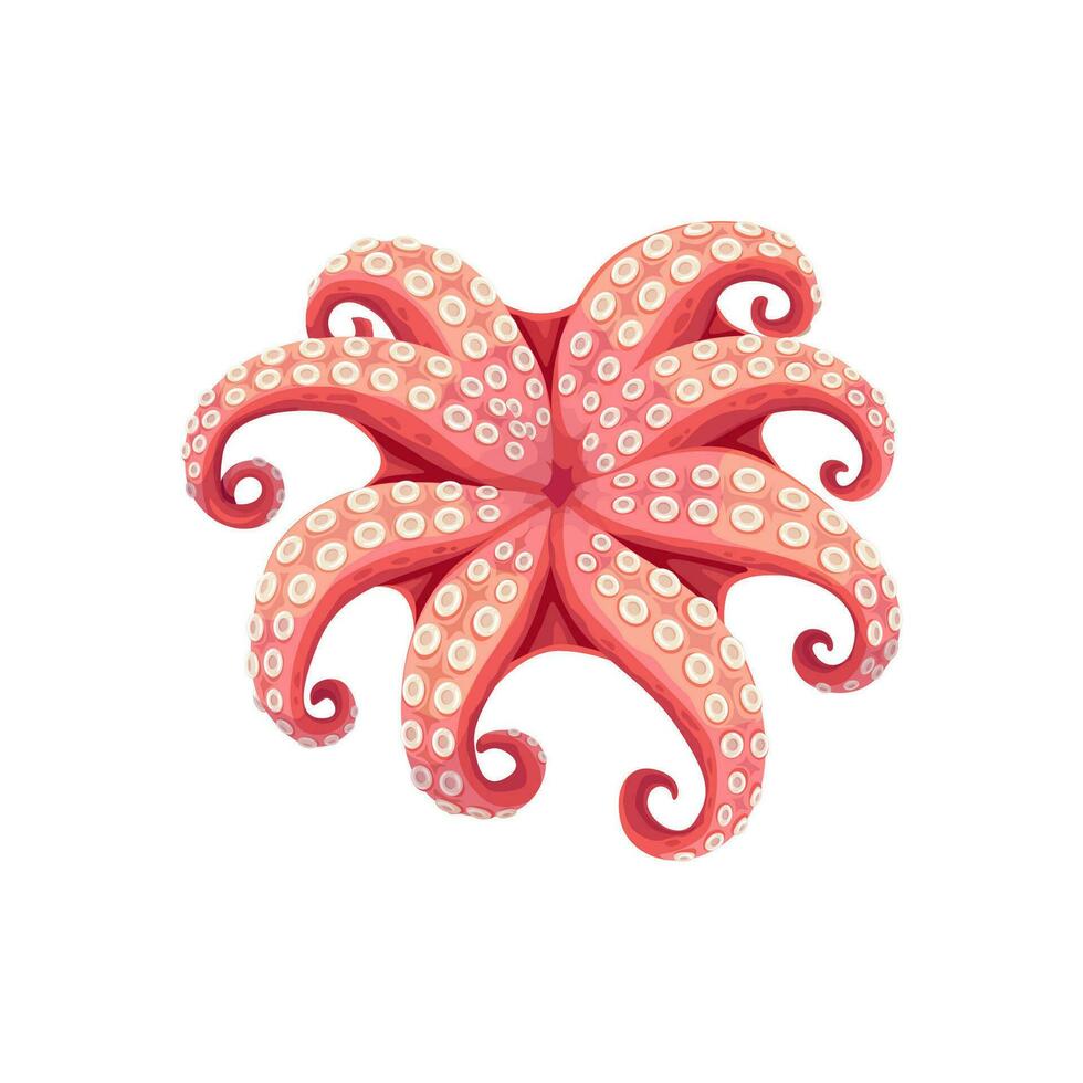 pulpo, dibujos animados mariscos, mar comida cocina producto vector