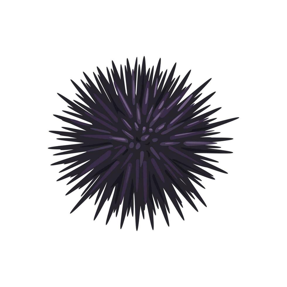 Cartoon seafood, sea urchin and sea food cuisine vector