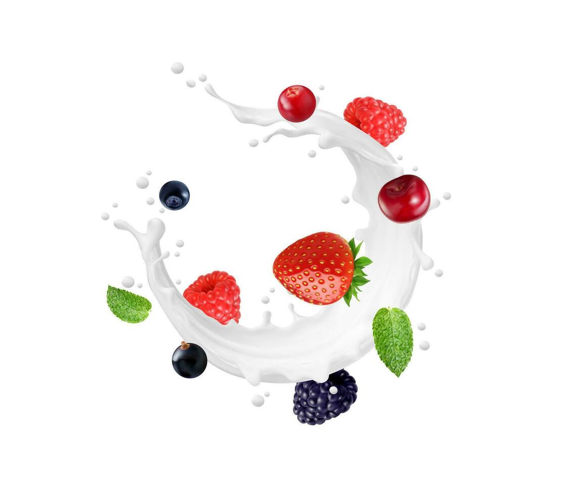 Milk, yogurt, dessert cream splash with berries vector