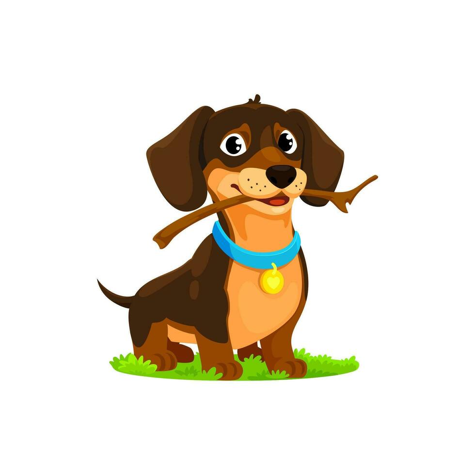 Cartoon dachshund dog with wooden stick in teeth vector