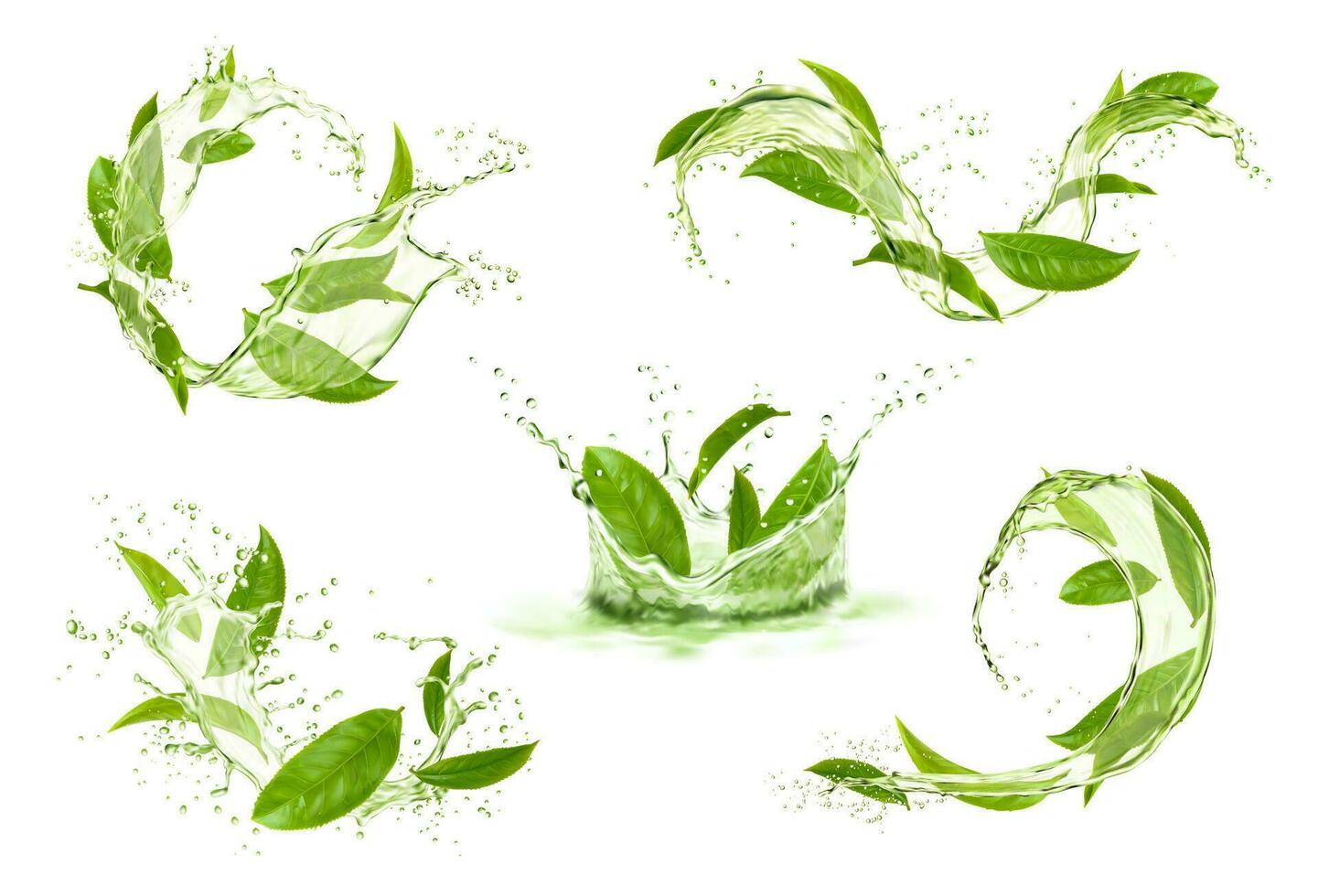 Green tea leaves with wave flow splash and drops vector