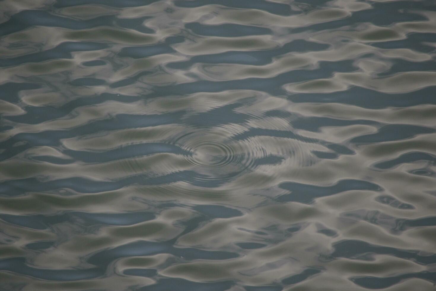 calma ondas en el Oceano foto