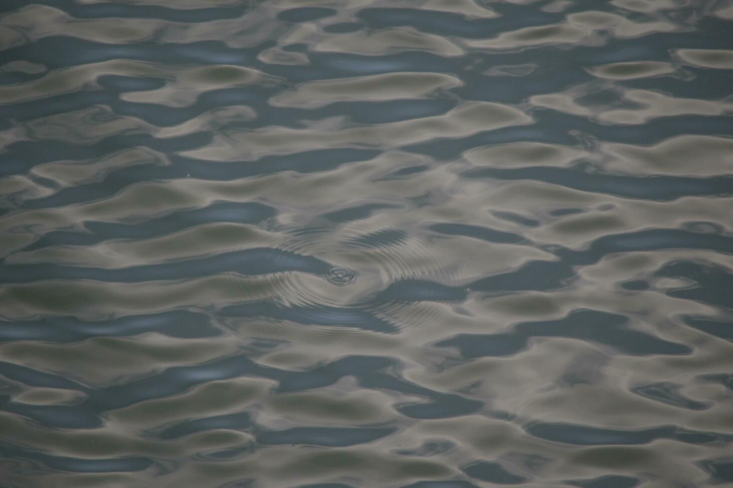 calm ripples in the ocean photo