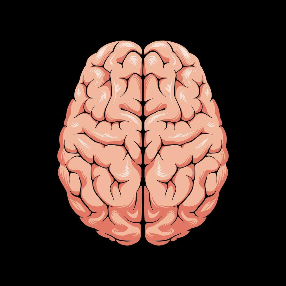 brain illustration on a black background vector