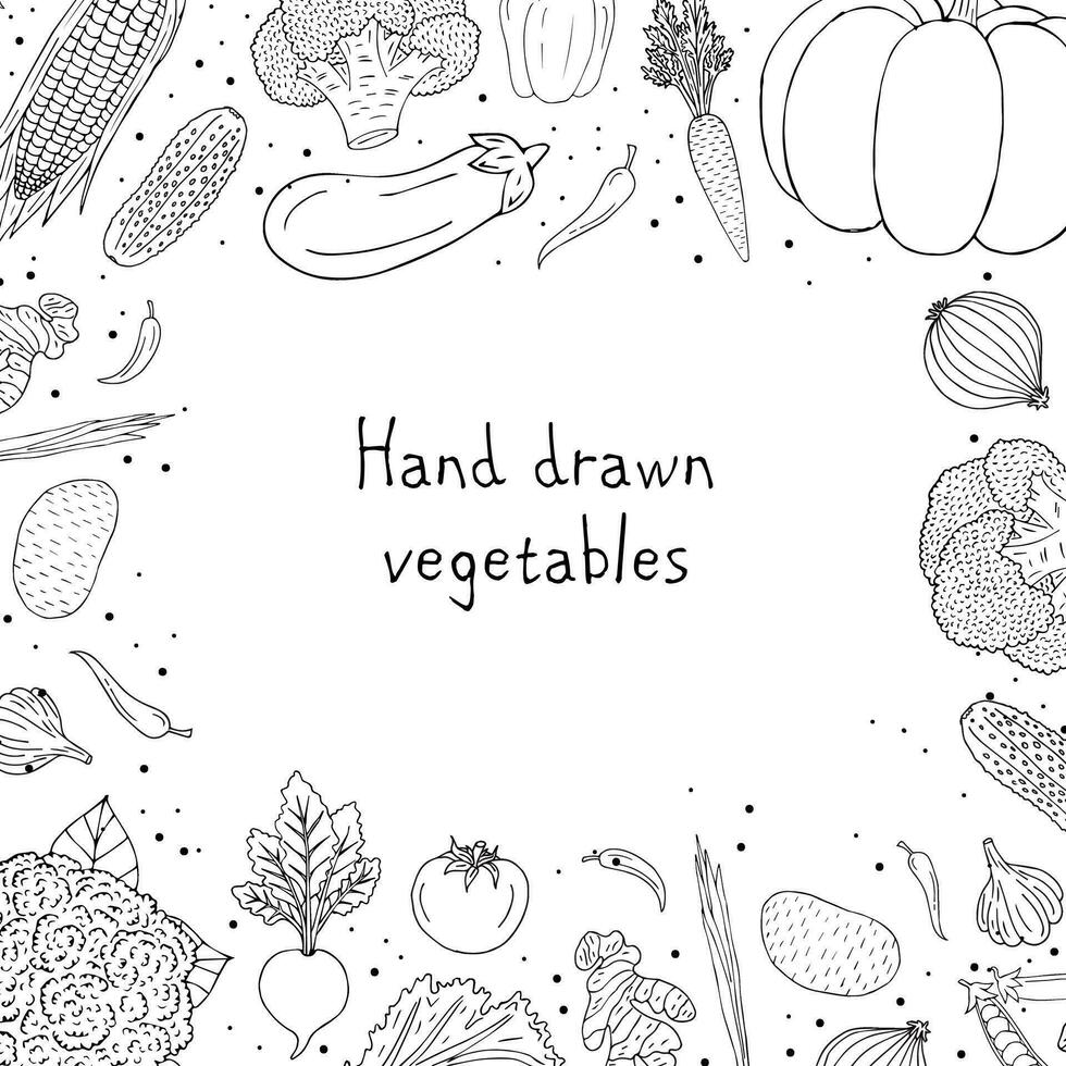 Vector hand drawn doodle sketch vegetables frame