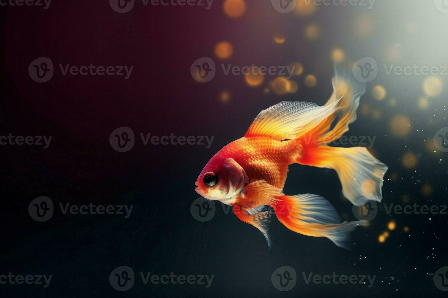 AI generated Abstract goldfish on dark background. Generate ai photo