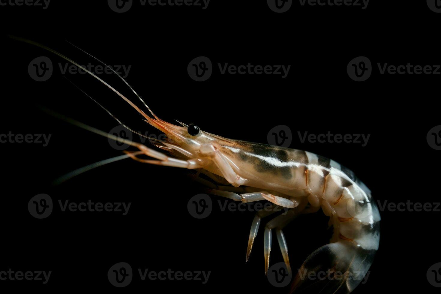 AI generated Sea shrimp raw on black background. Generate Ai photo