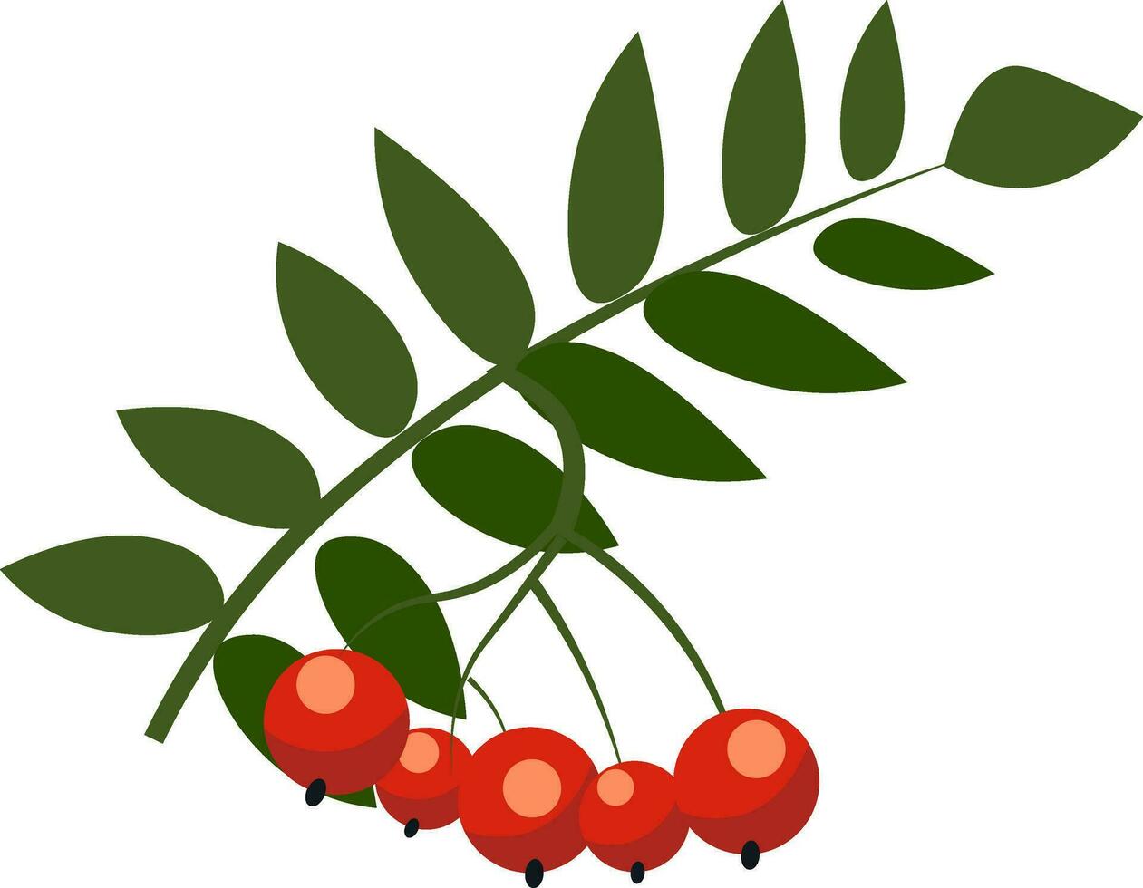 Cute berries illustration vector