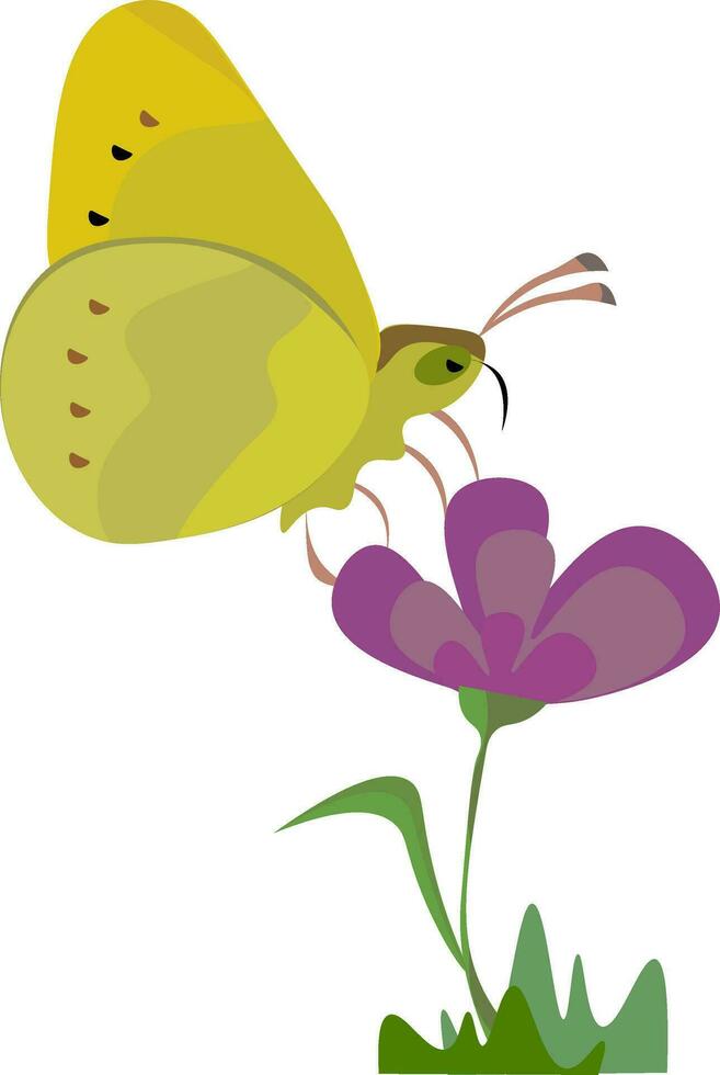 yellow butterfly on purple flower vector
