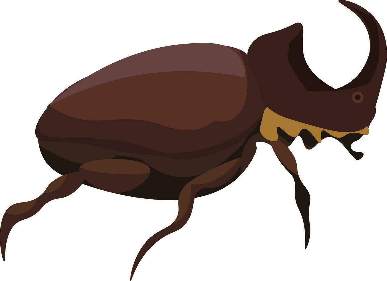 a brown beetle vector