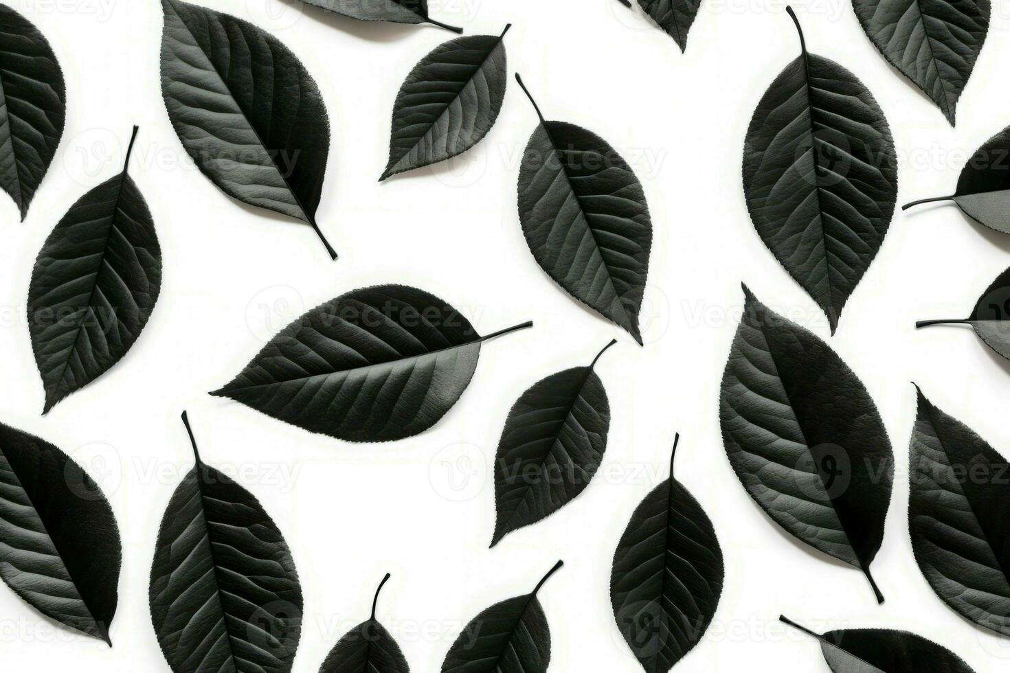 AI generated Black leaves on white background. Generate ai photo