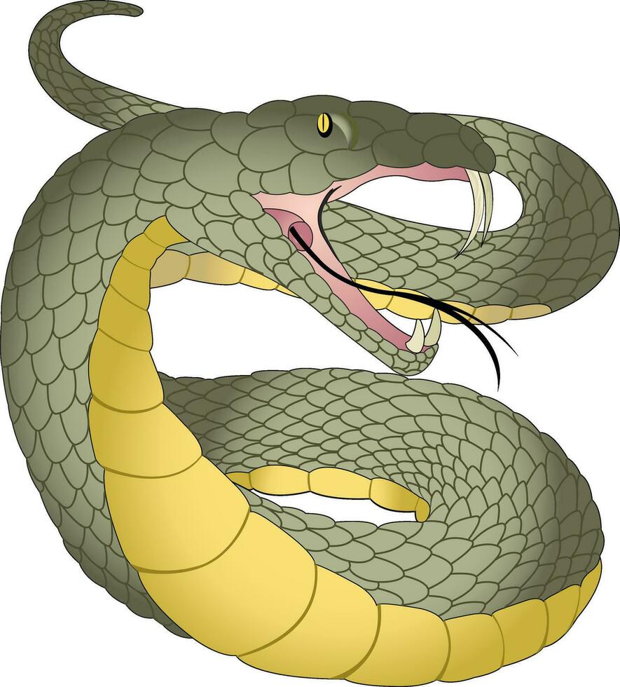 aislado serpiente, ilustración vector