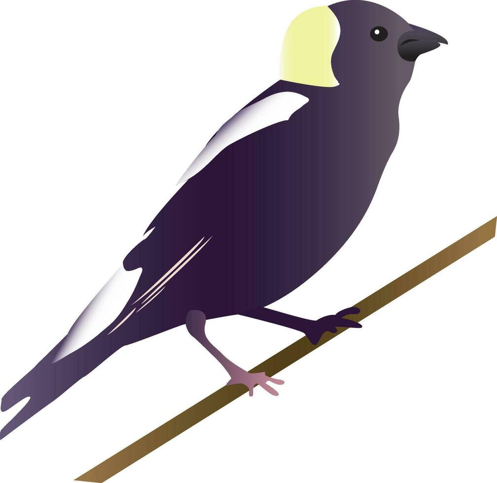 aislado pájaro ilustración vector