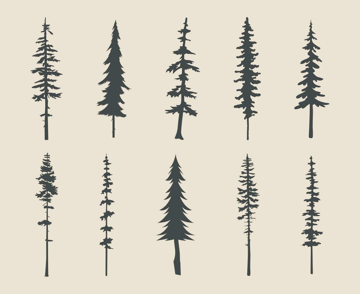 professional pine trees silhouette vector art