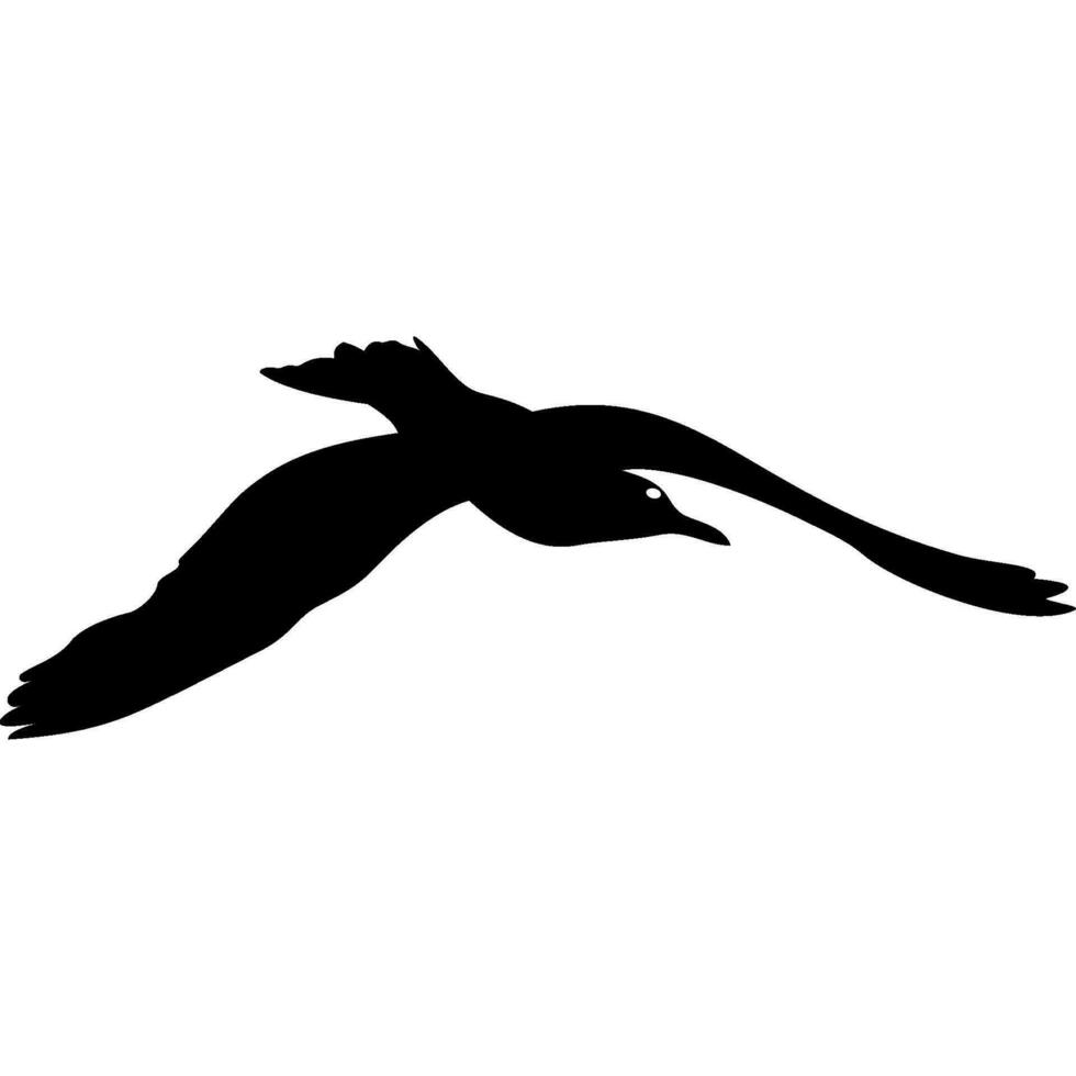 flying seagull in black vector