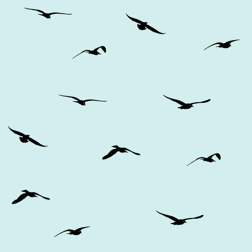 flying seagull seamless pattern in black with light blue background vector