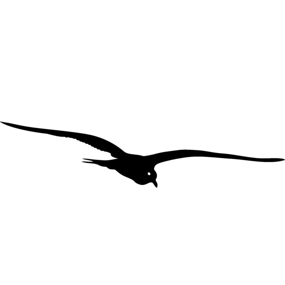 flying seagull in black vector