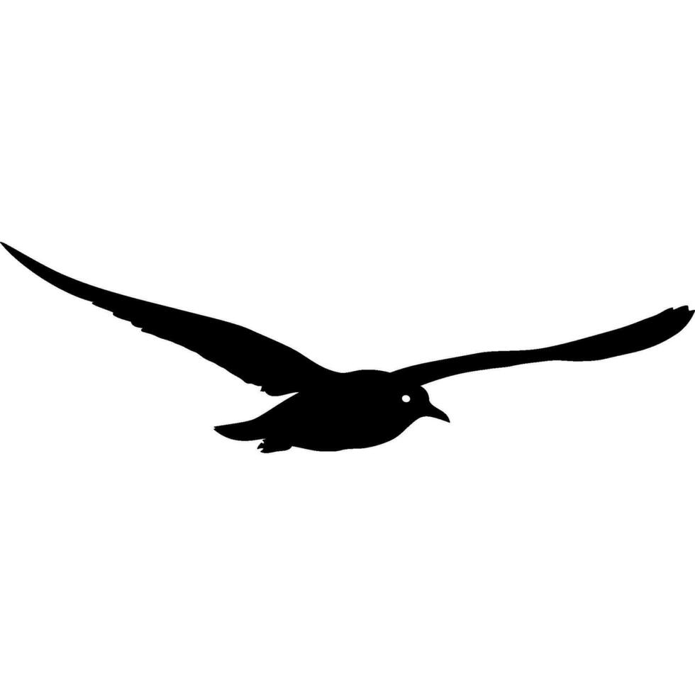 flying seagull in black vector