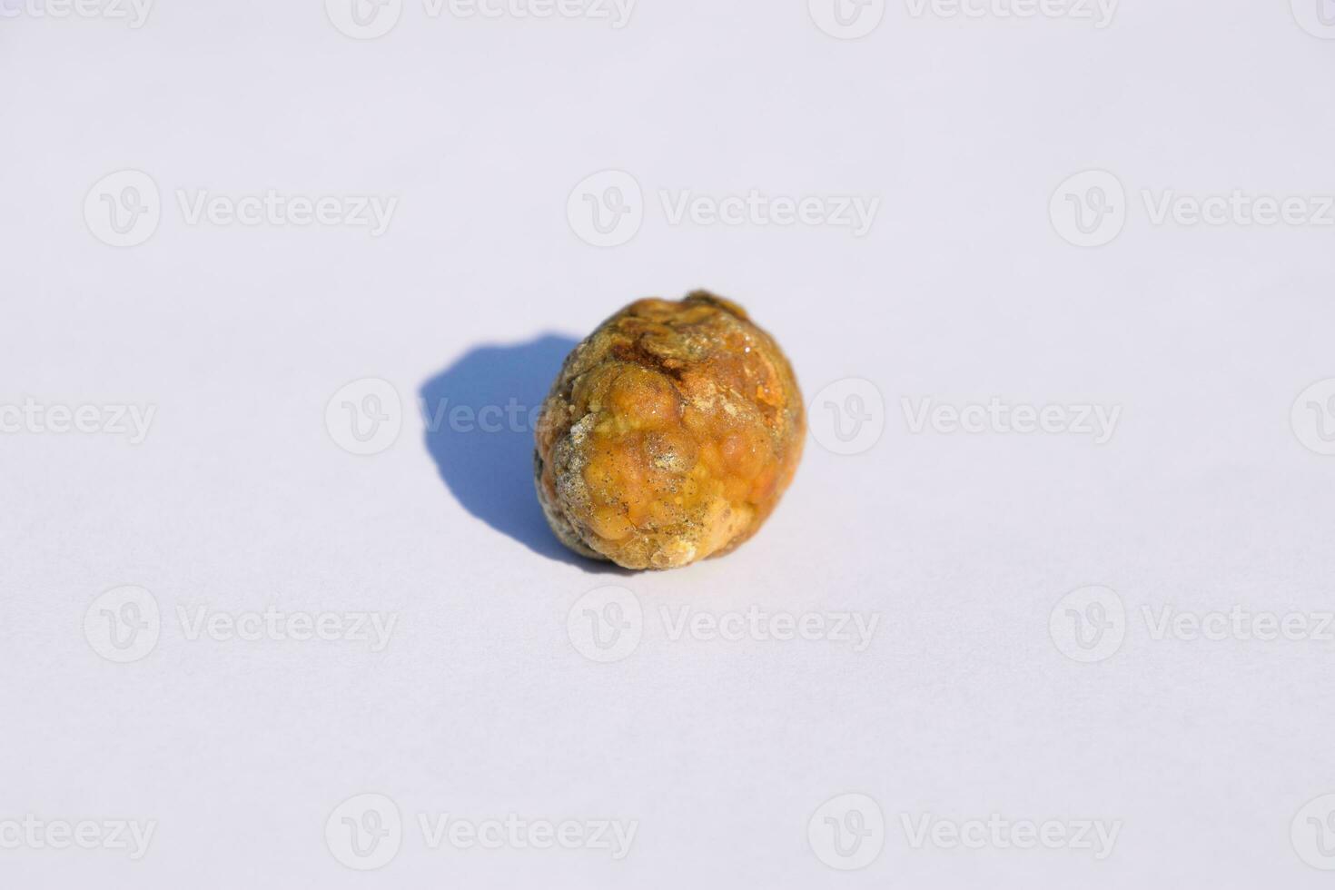 Stone of gallbladder. The result of gallstones. A calculus of heterogeneous composition. photo