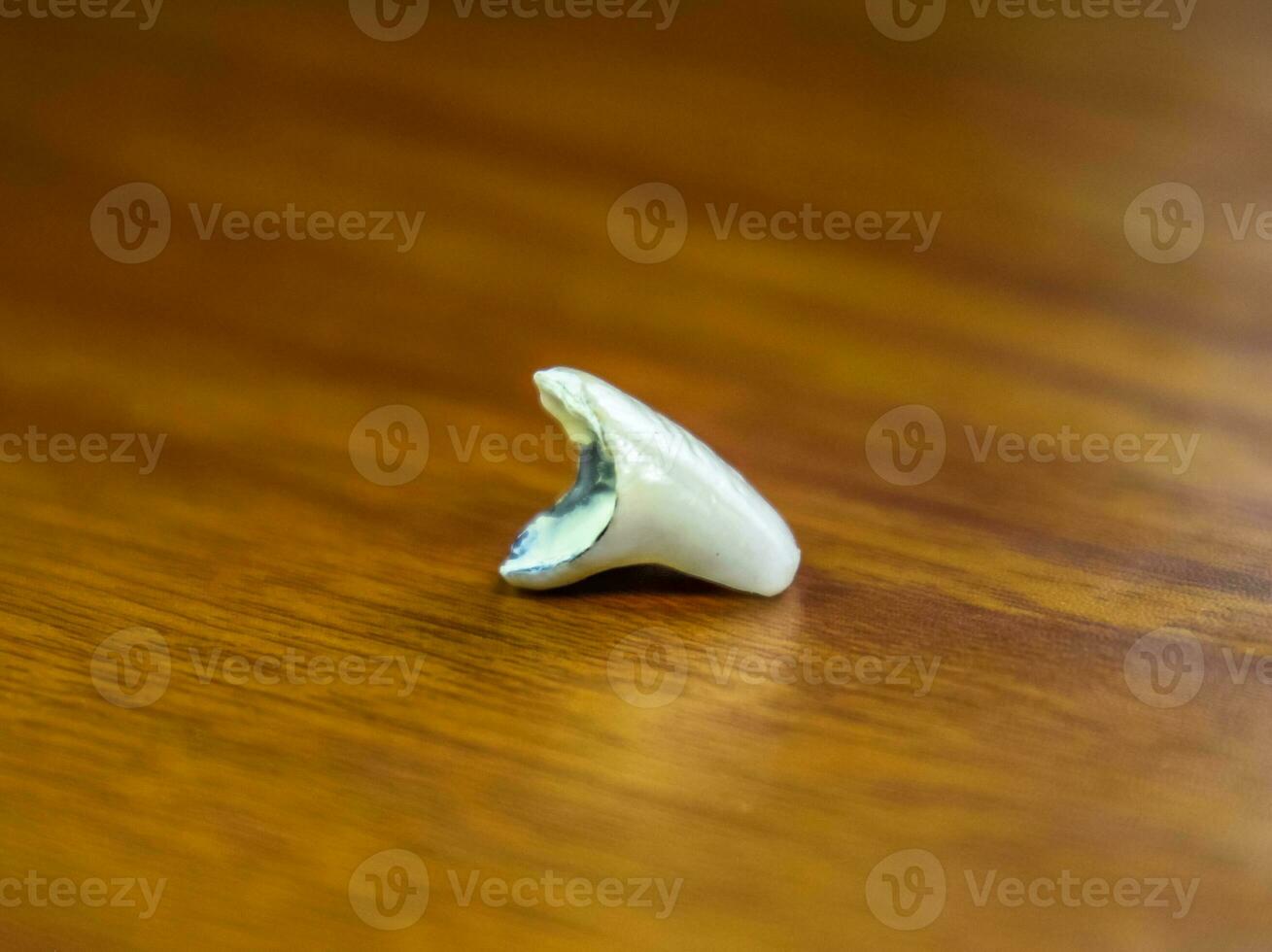 diente, metal cerámico corona en el mesa. dentadura hecho de metal cerámica foto