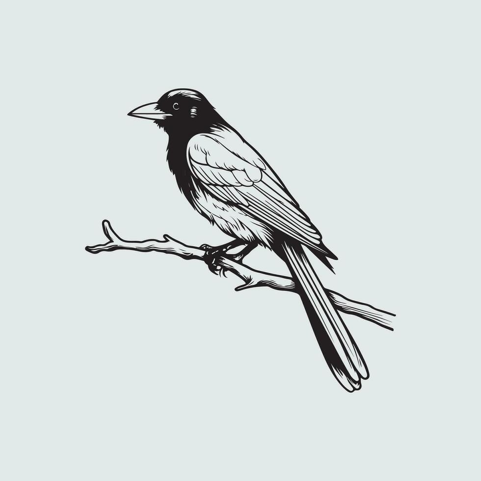Raven Vector Art, Icons, and Graphics