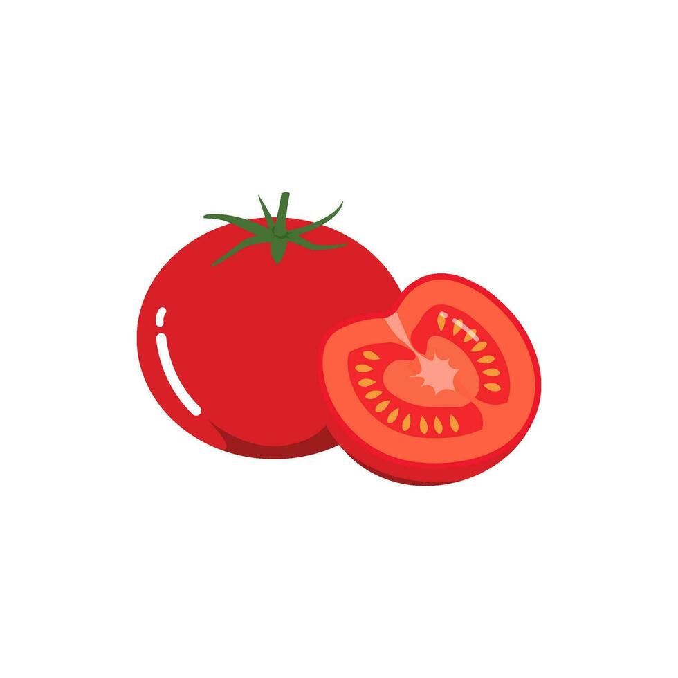 tomato vector illustration